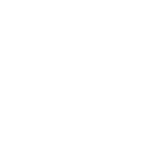 Wonder